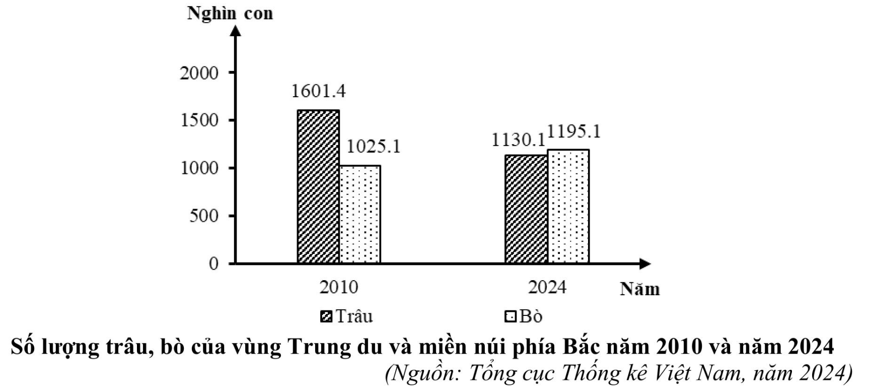 Hình minh họa