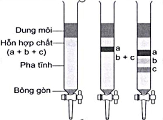 Hình minh họa câu hỏi