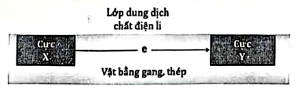 Hình minh họa câu hỏi