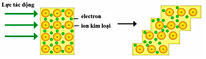 Hình minh họa câu hỏi