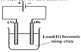 Hình minh họa câu hỏi
