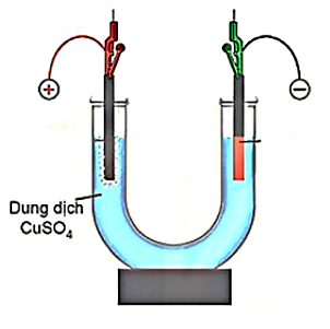 Hình minh họa câu hỏi