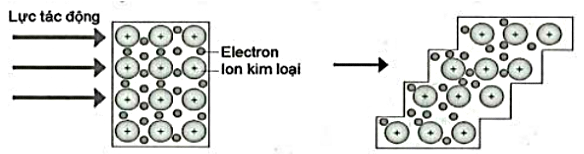 Hình minh họa câu hỏi