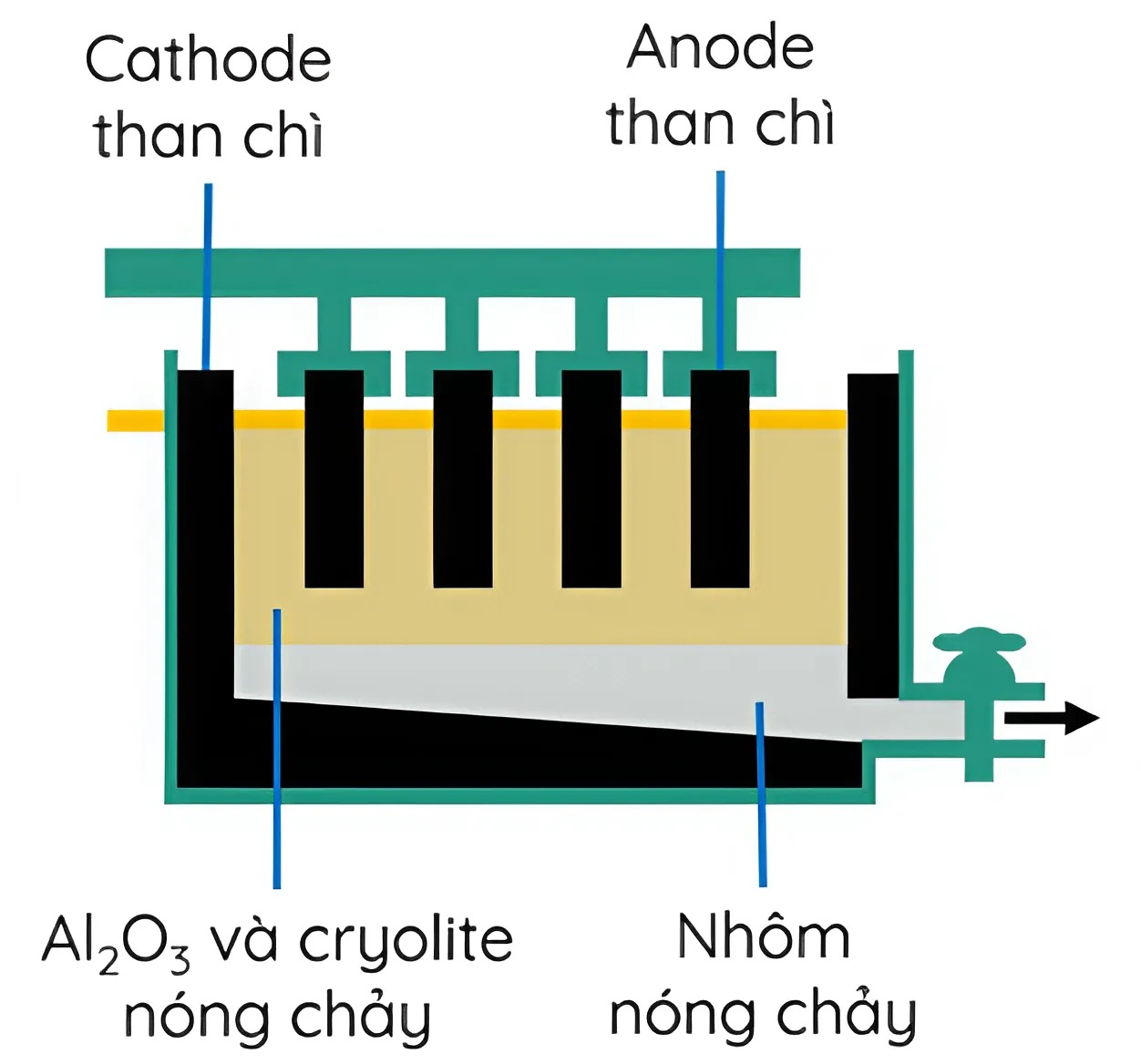 Hình minh họa câu hỏi
