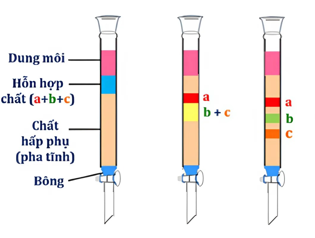 Hình minh họa câu hỏi