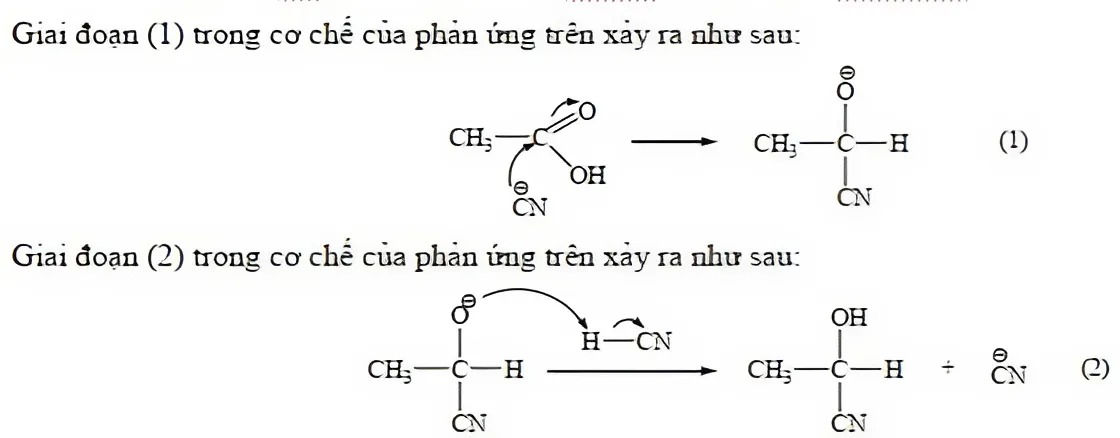 Hình minh họa câu hỏi