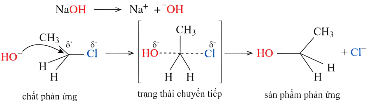 Hình minh họa câu hỏi