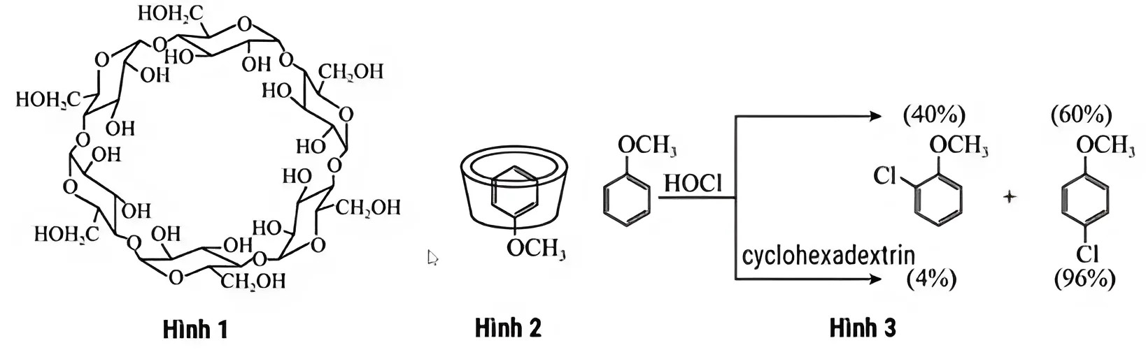 Hình minh họa câu hỏi