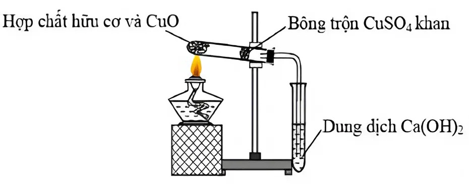Hình minh họa câu hỏi