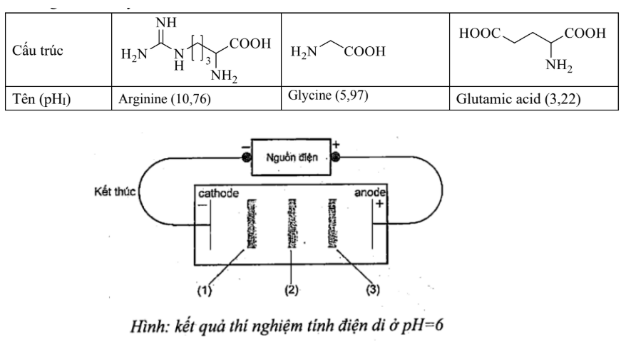 Hình minh họa câu hỏi