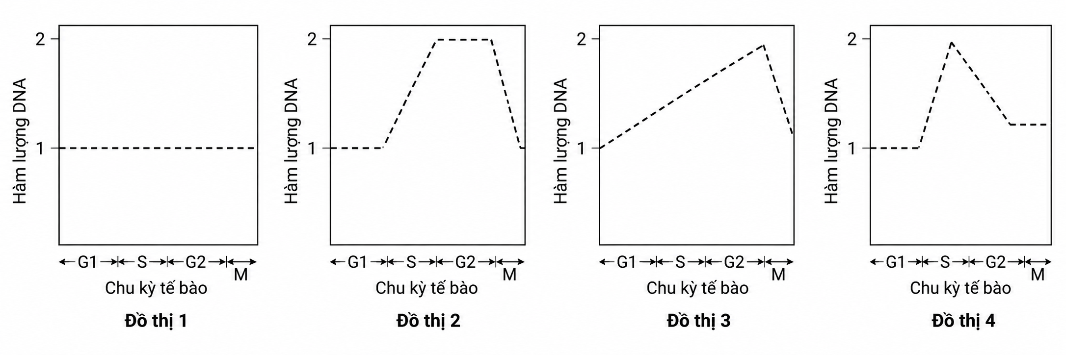 Hình minh họa