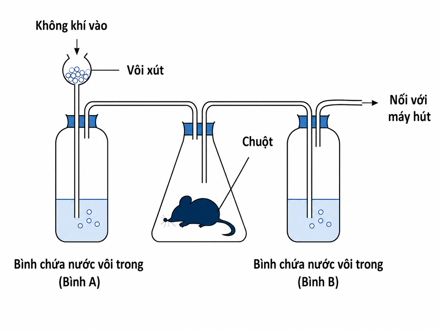 Hình minh họa
