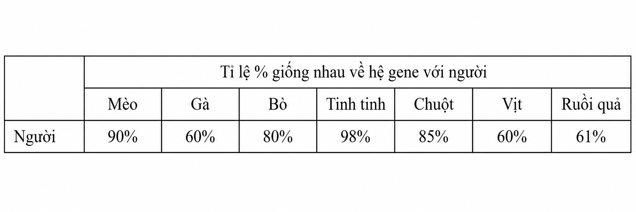 Hình minh họa