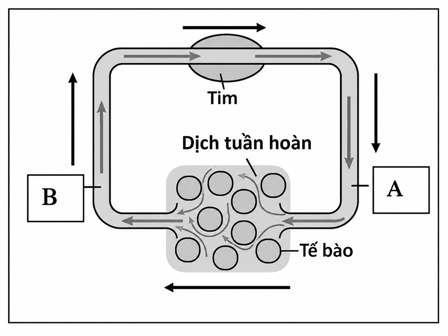 Hình minh họa