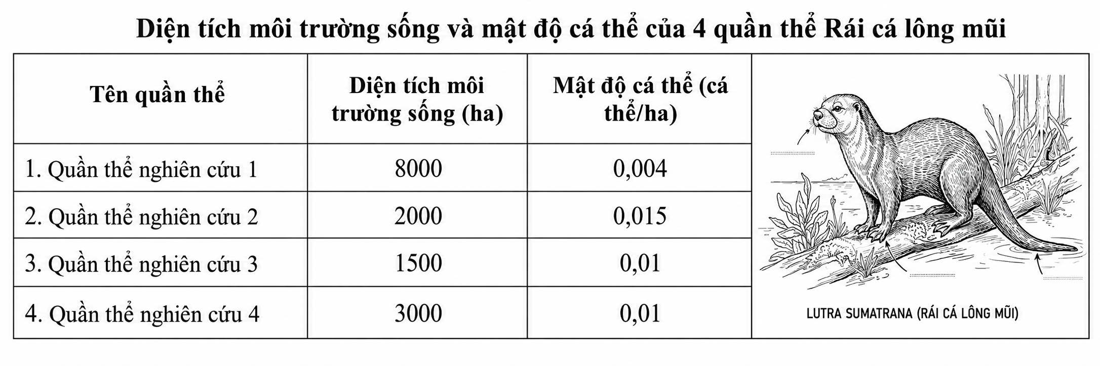 Hình minh họa