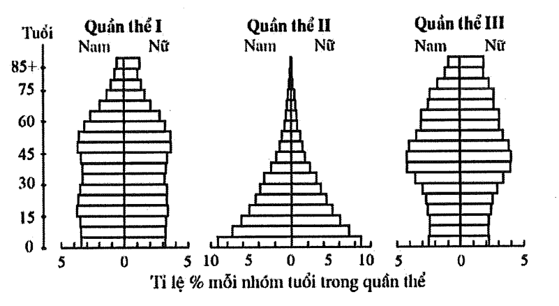 Hình minh họa
