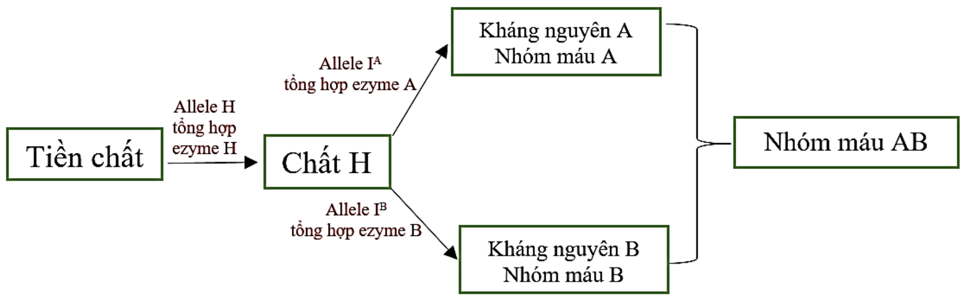 Hình minh họa