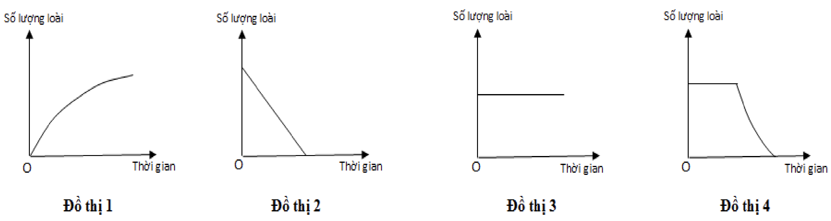 Hình minh họa