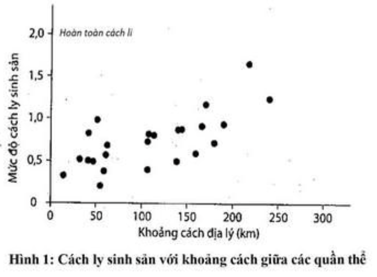 Hình minh họa