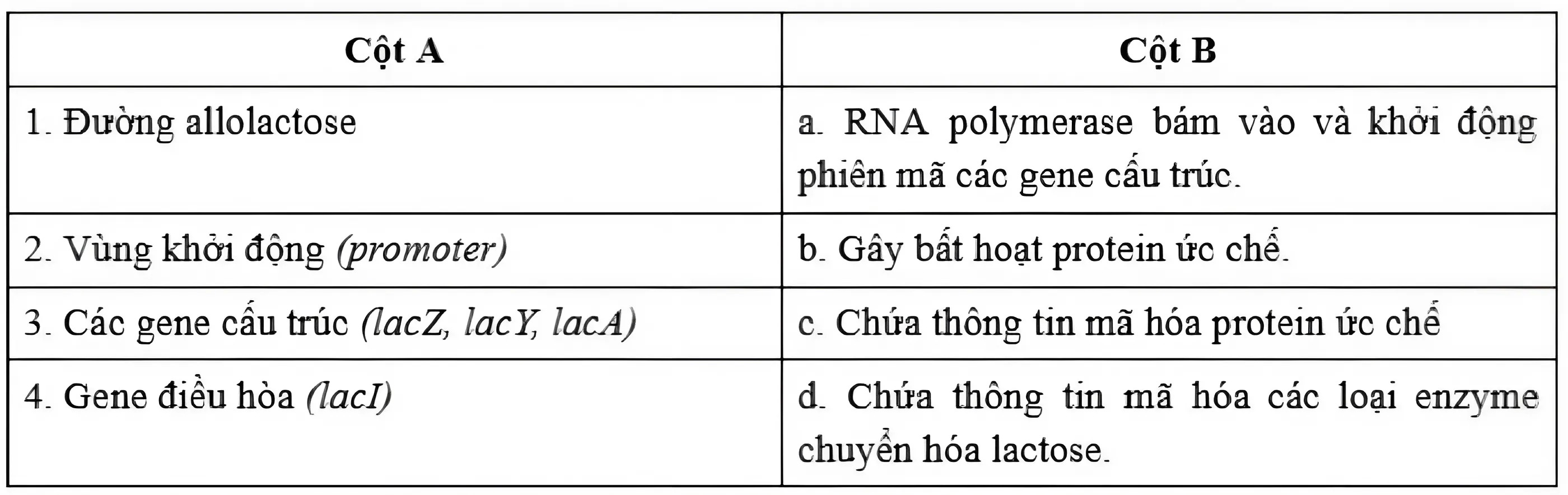 Hình minh họa