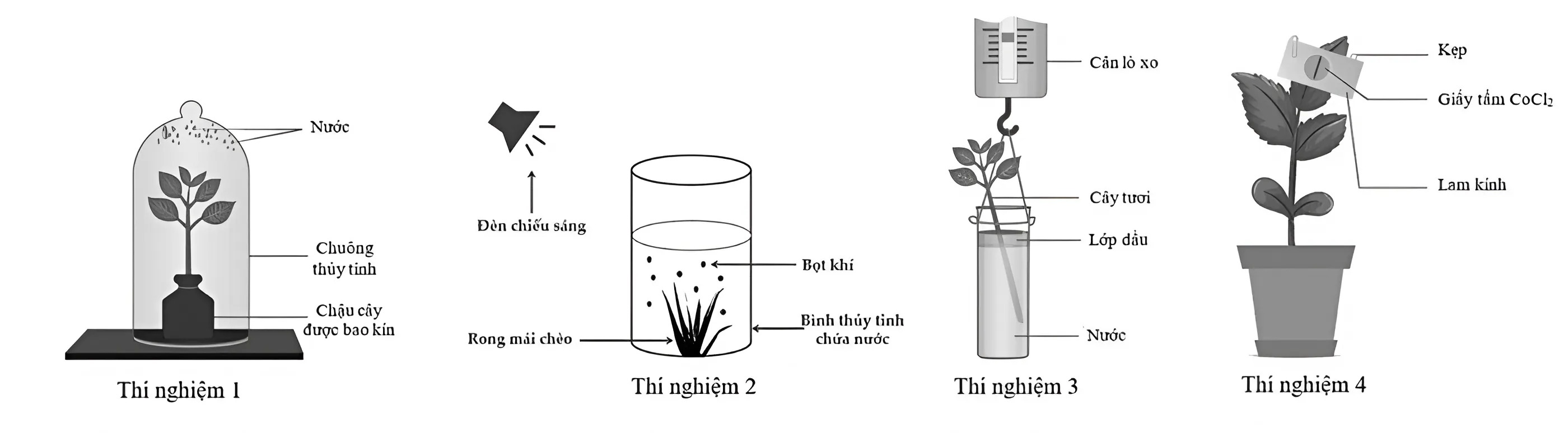 Hình minh họa