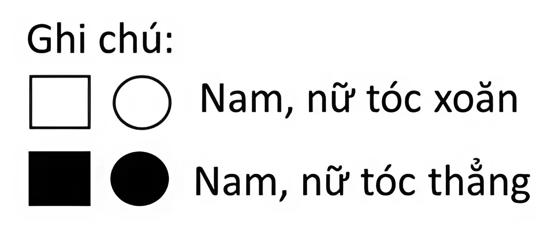 Hình minh họa