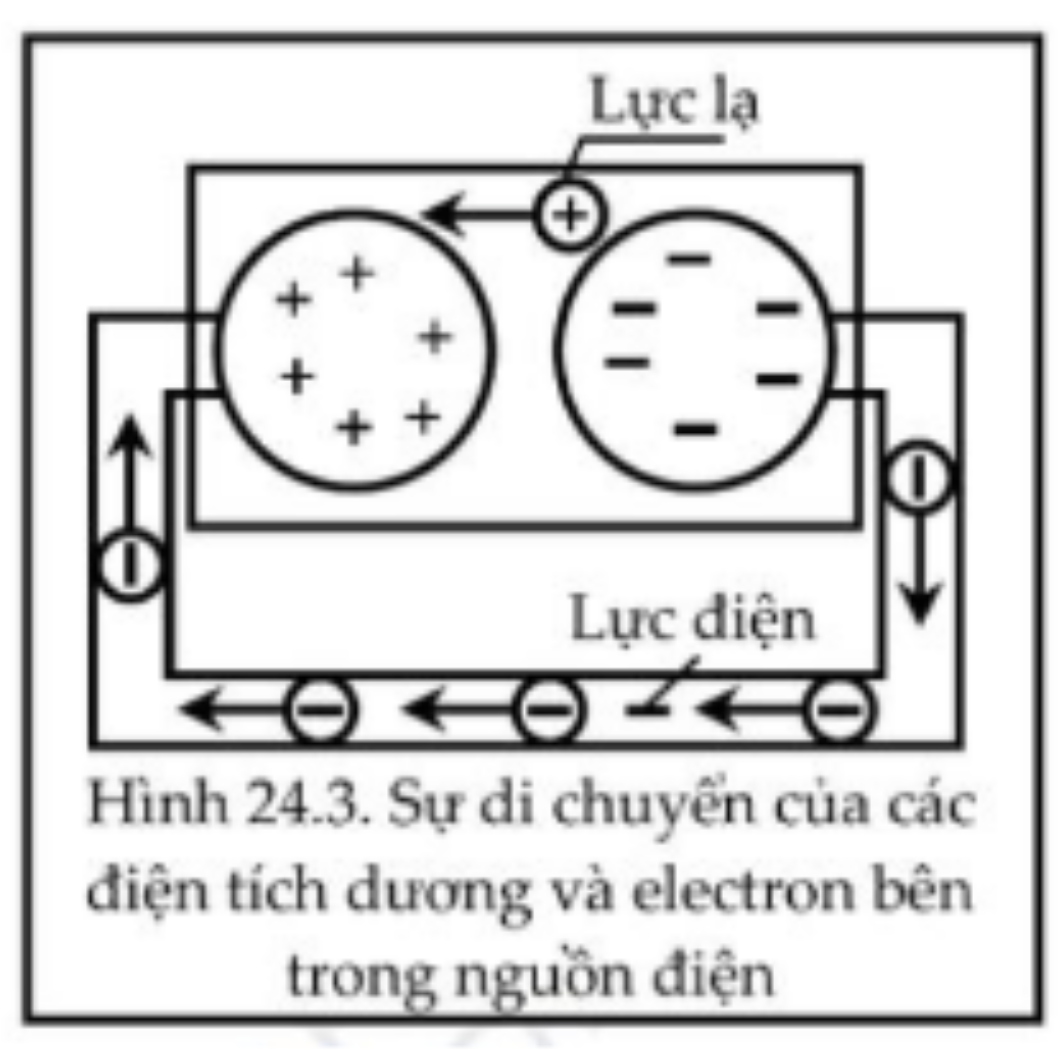 Hình minh họa