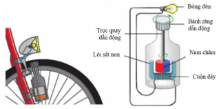 Hình minh họa câu hỏi