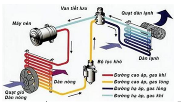 Hình minh họa