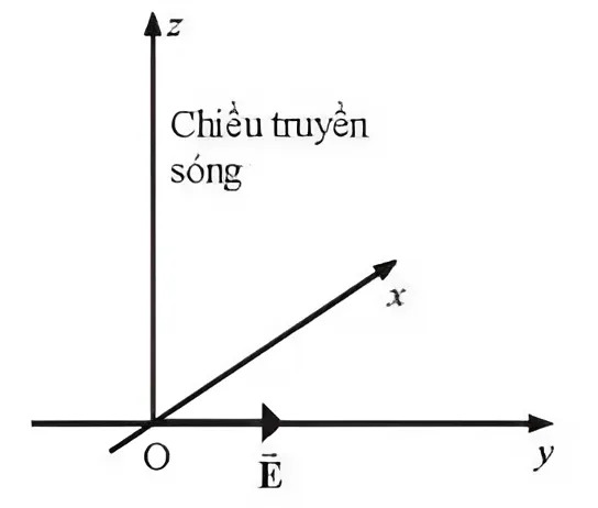 Hình minh họa