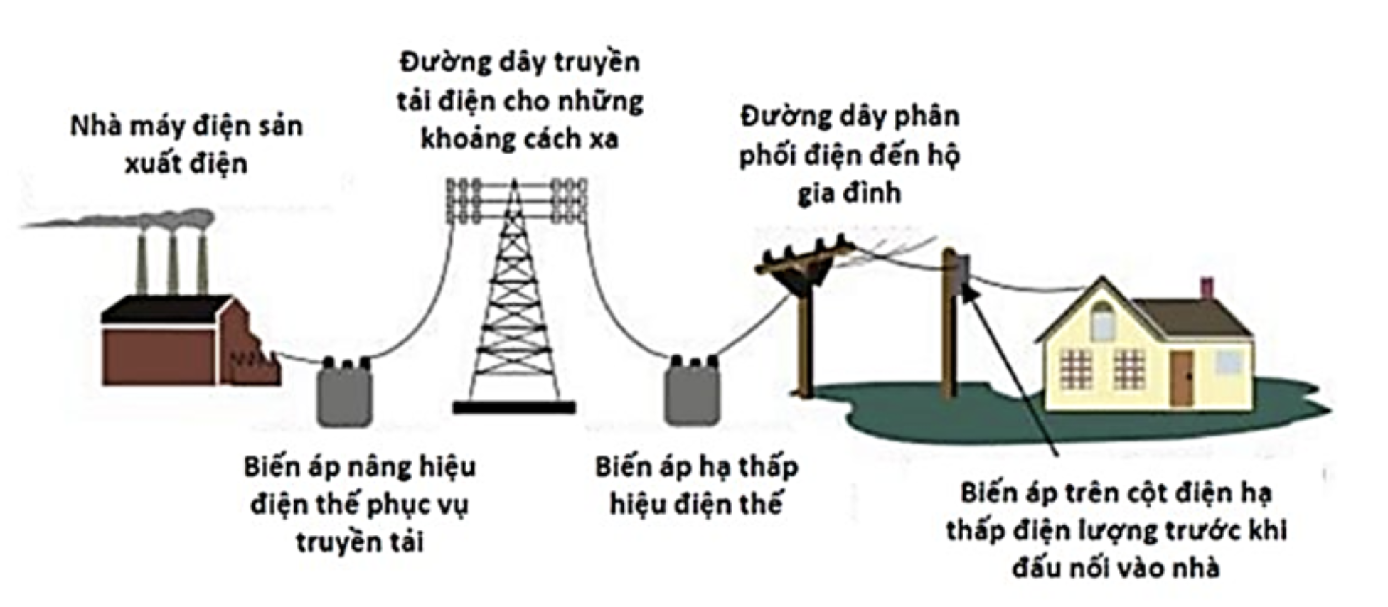 Hình ngữ liệu