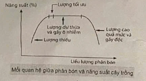 Hình minh họa