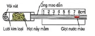 Hình minh họa